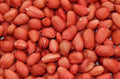 Kotoko - Red skin Peanut 500g