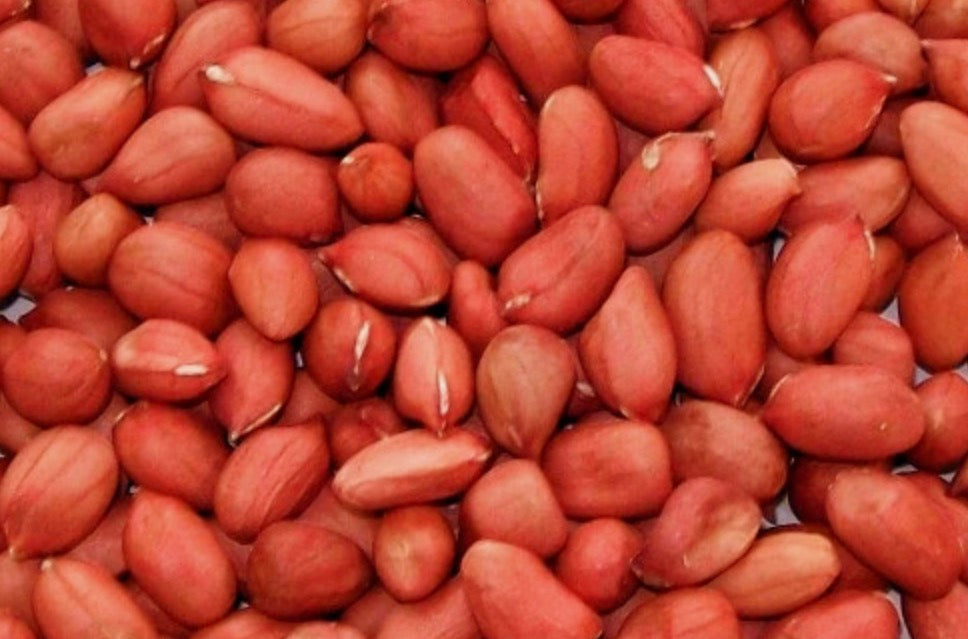 Kotoko - Red skin Peanut 500g