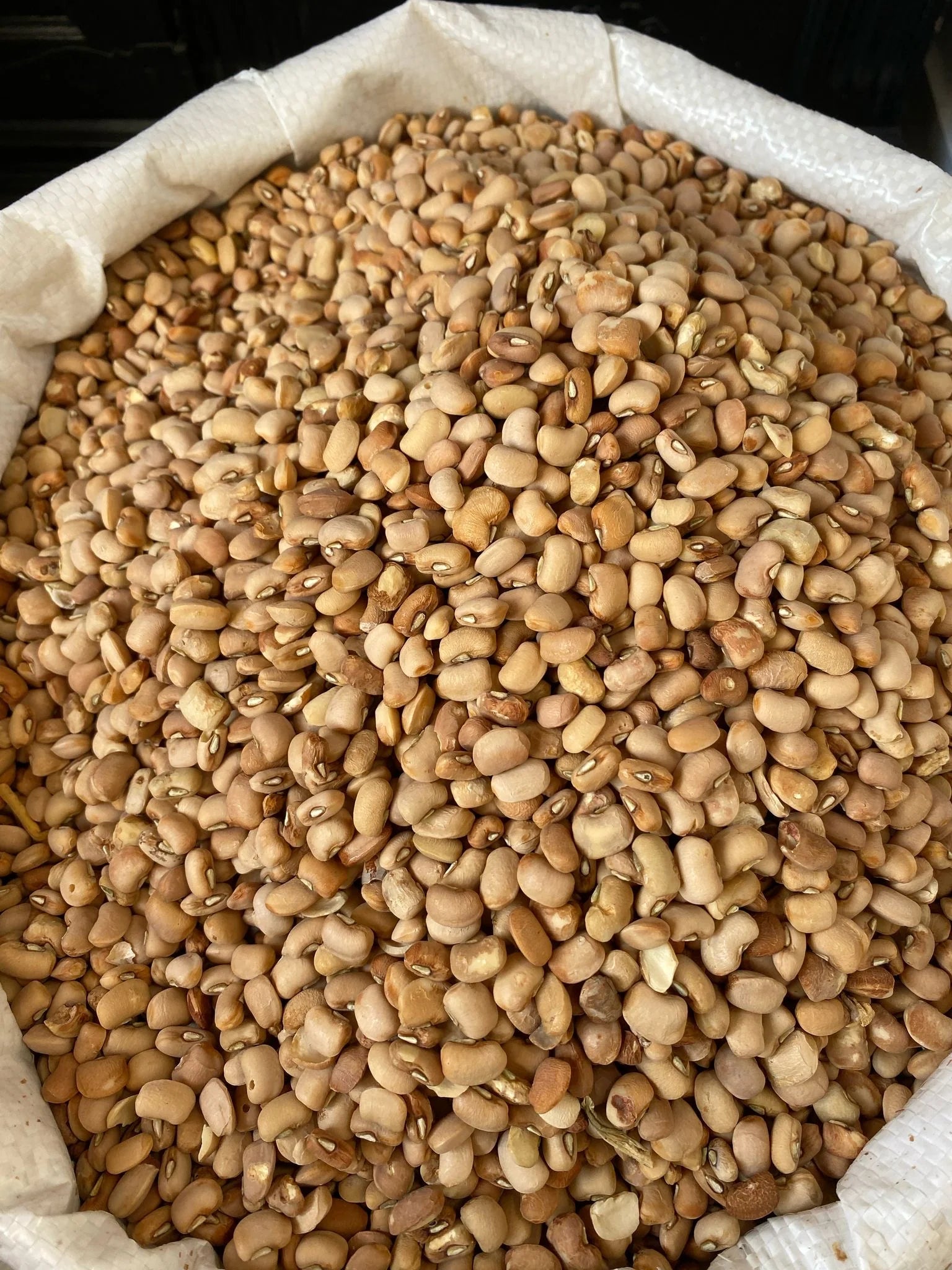 Honey Beans 50Lb